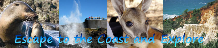 Escape to the Sydney Melbourne Coast