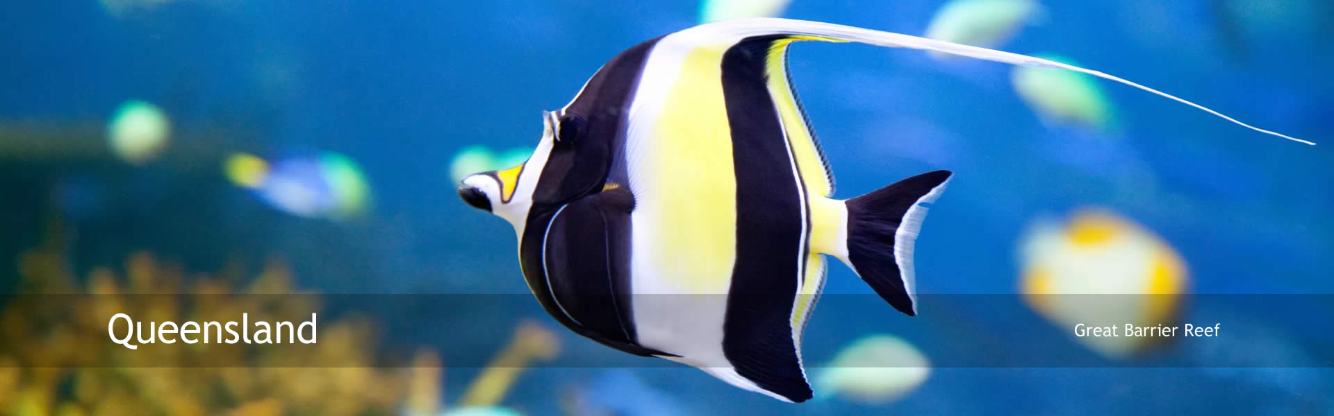 Queensland Australia Accommodation and Information