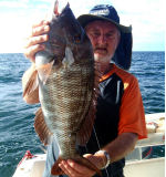 Fishing Report East Gippsland Victoria
